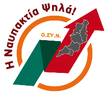 ΨΗΛΑ Αντιγραφή